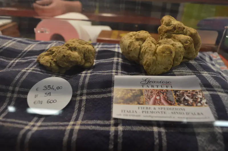 Up close at the International White Truffle Festival of Alba, Italy