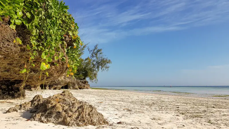 A rocky cliff provides a backdrop against Kizimkazi's sandy beach